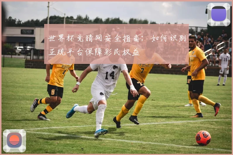 世界杯竞猜网安全指南：如何识别正规平台保障彩民权益