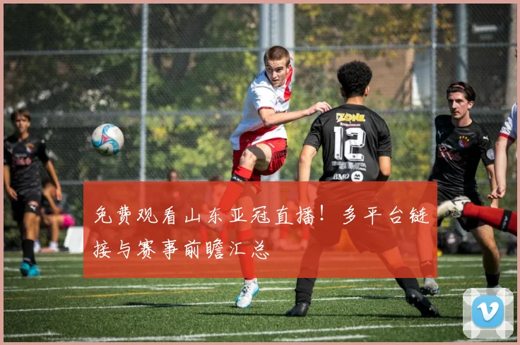 免费观看山东亚冠直播!多平台链接与赛事前瞻汇总